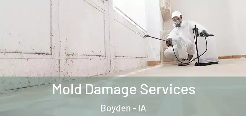 Mold Damage Services Boyden - IA