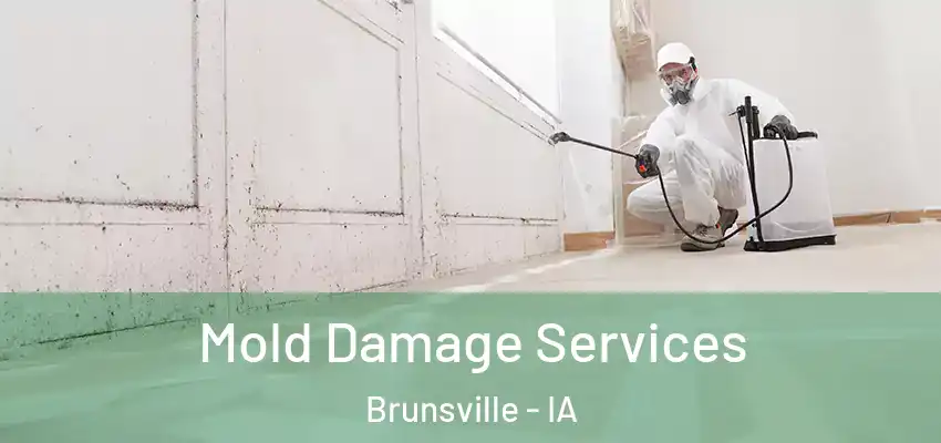 Mold Damage Services Brunsville - IA