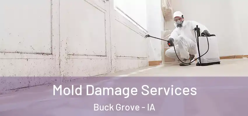  Mold Damage Services Buck Grove - IA