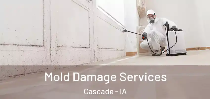 Mold Damage Services Cascade - IA