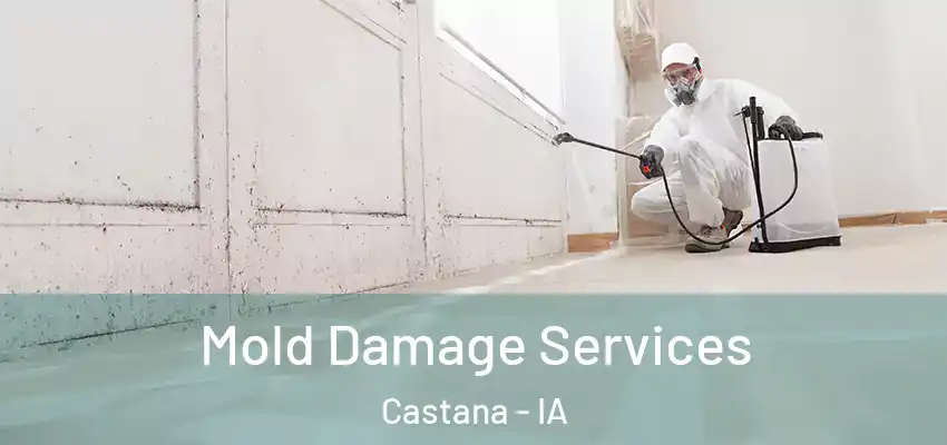  Mold Damage Services Castana - IA