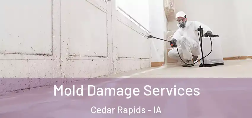 Mold Damage Services Cedar Rapids - IA