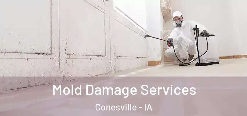 Mold Damage Services Conesville - IA