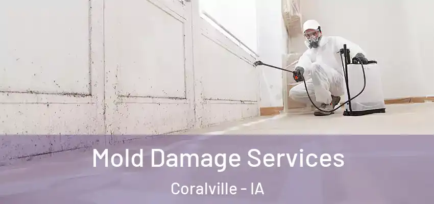 Mold Damage Services Coralville - IA