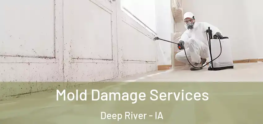 Mold Damage Services Deep River - IA