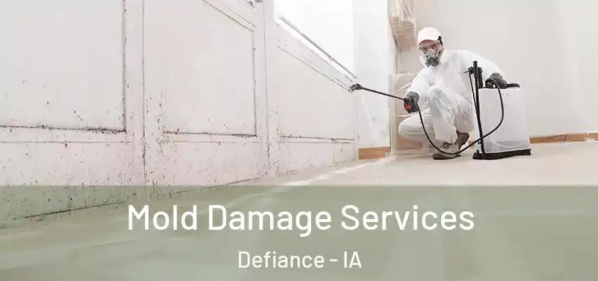  Mold Damage Services Defiance - IA