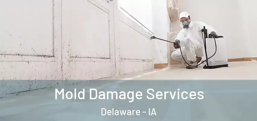 Mold Damage Services Delaware - IA