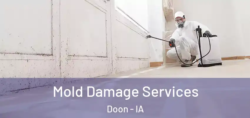 Mold Damage Services Doon - IA