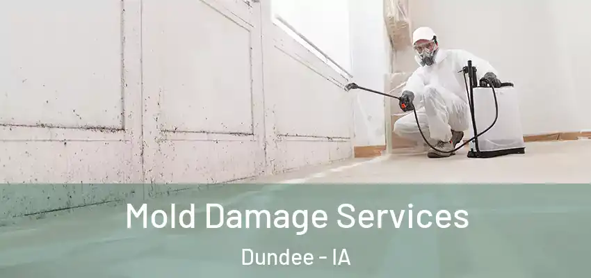  Mold Damage Services Dundee - IA