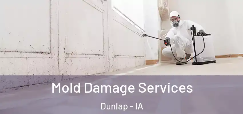 Mold Damage Services Dunlap - IA