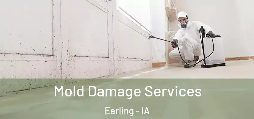 Mold Damage Services Earling - IA