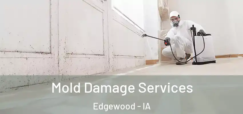 Mold Damage Services Edgewood - IA