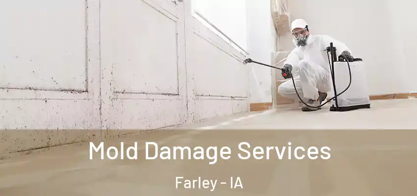  Mold Damage Services Farley - IA