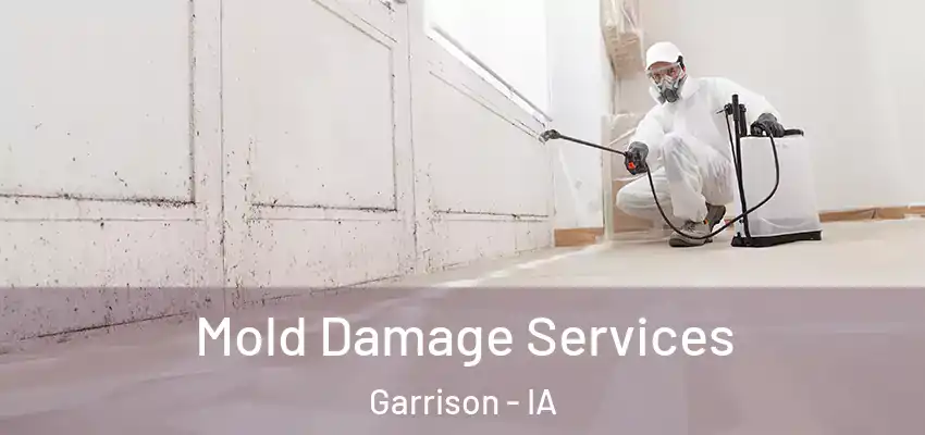 Mold Damage Services Garrison - IA