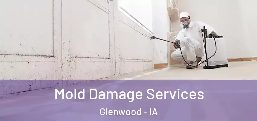 Mold Damage Services Glenwood - IA