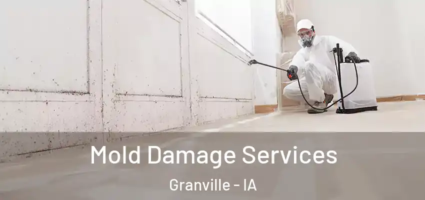 Mold Damage Services Granville - IA