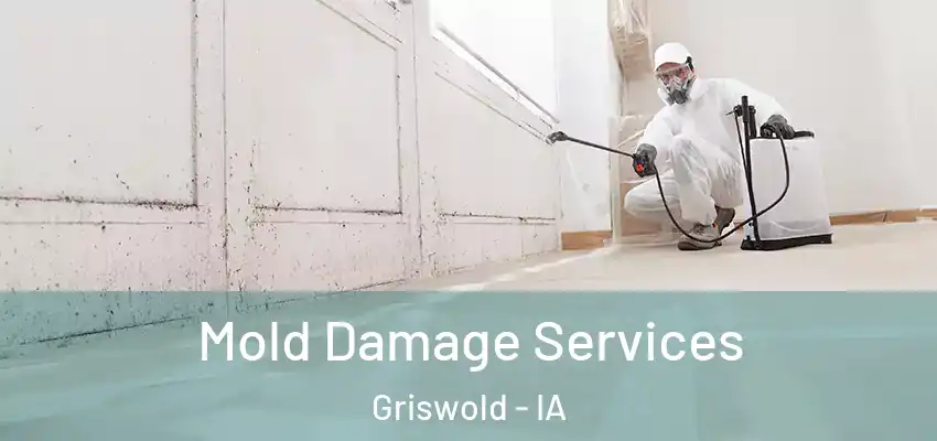  Mold Damage Services Griswold - IA