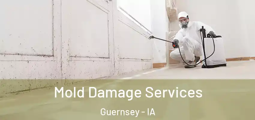 Mold Damage Services Guernsey - IA