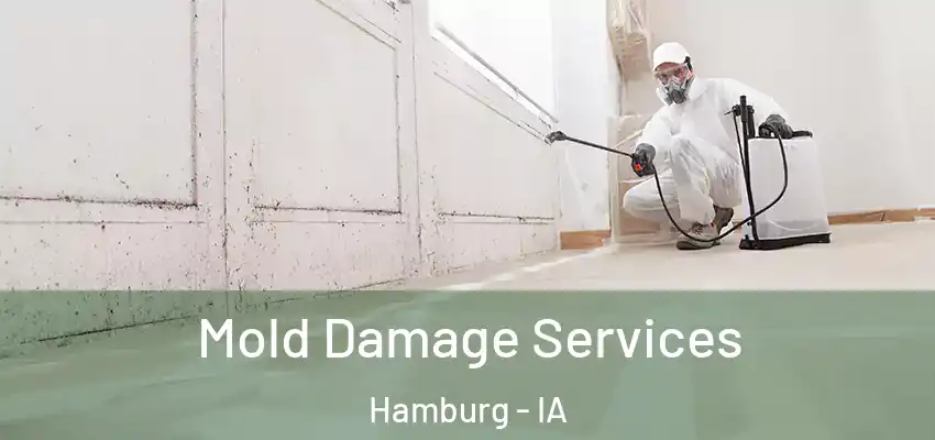 Mold Damage Services Hamburg - IA