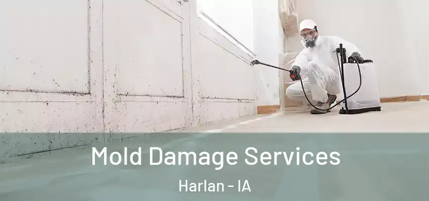 Mold Damage Services Harlan - IA