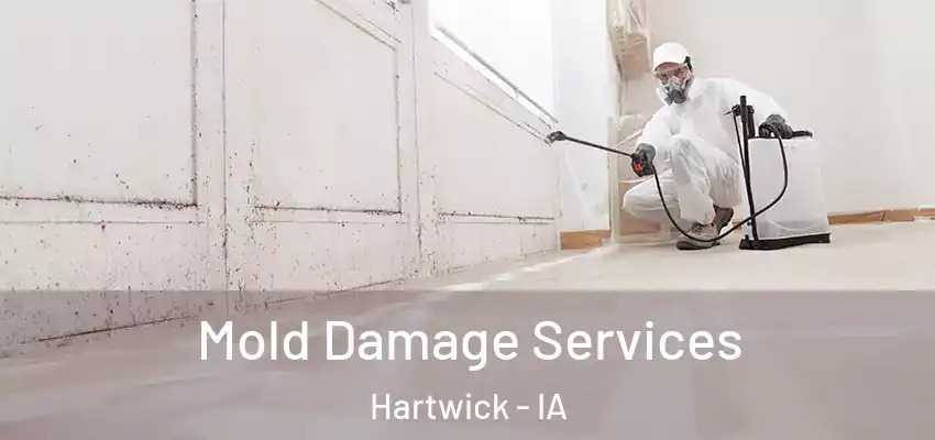  Mold Damage Services Hartwick - IA