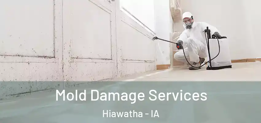  Mold Damage Services Hiawatha - IA