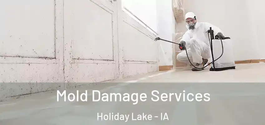  Mold Damage Services Holiday Lake - IA