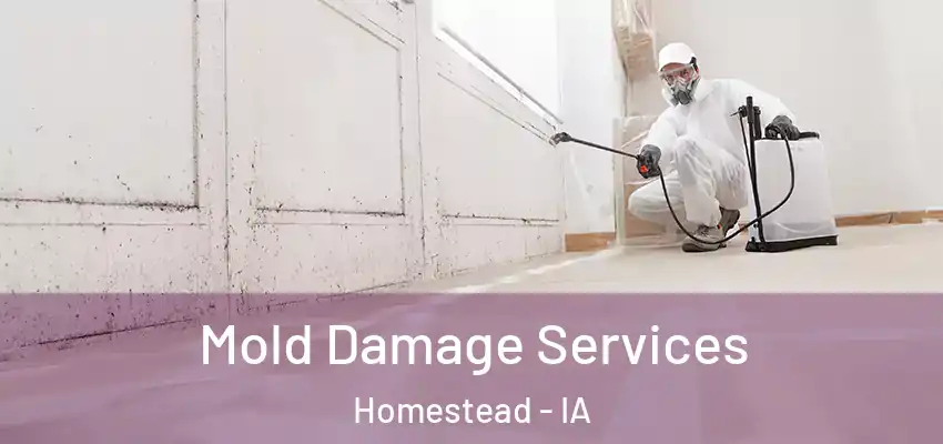 Mold Damage Services Homestead - IA