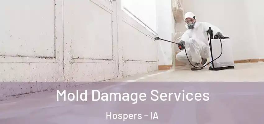 Mold Damage Services Hospers - IA