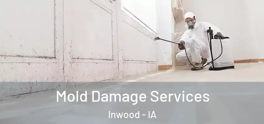 Mold Damage Services Inwood - IA