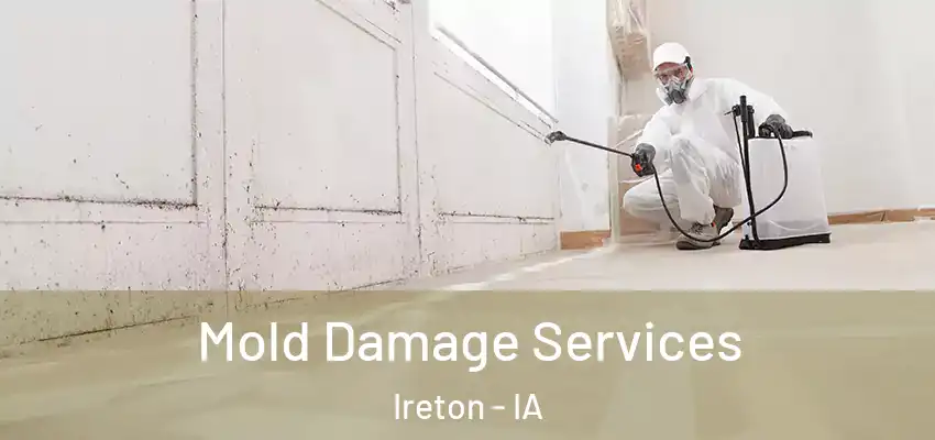 Mold Damage Services Ireton - IA