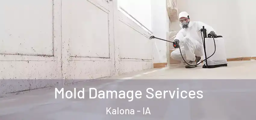 Mold Damage Services Kalona - IA