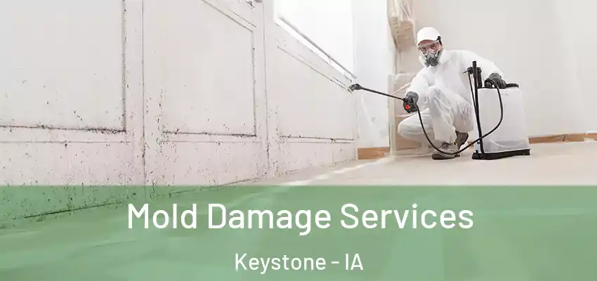 Mold Damage Services Keystone - IA
