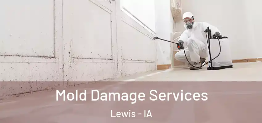  Mold Damage Services Lewis - IA