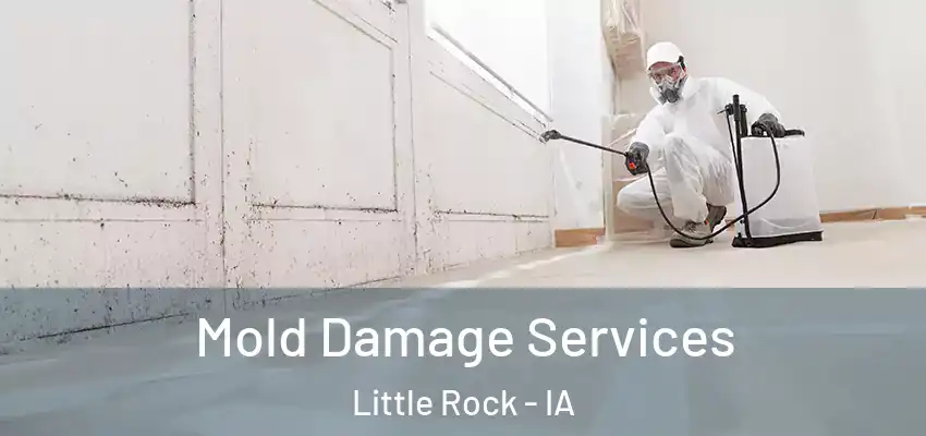  Mold Damage Services Little Rock - IA