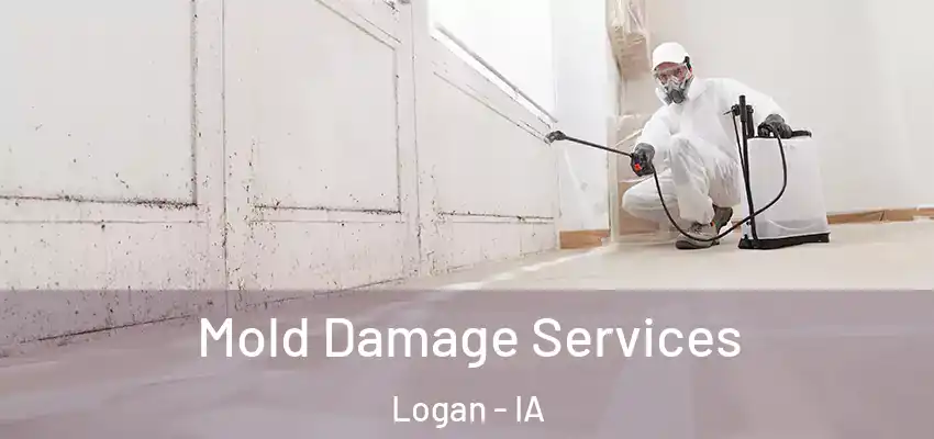  Mold Damage Services Logan - IA