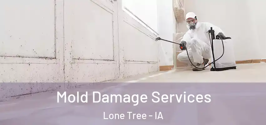  Mold Damage Services Lone Tree - IA
