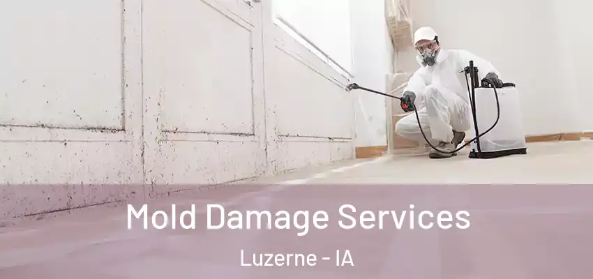 Mold Damage Services Luzerne - IA
