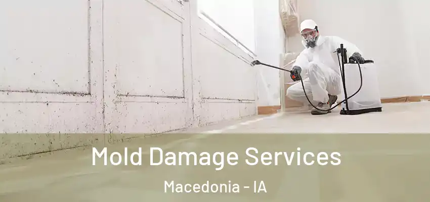 Mold Damage Services Macedonia - IA