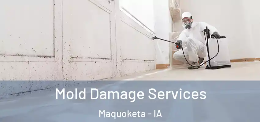  Mold Damage Services Maquoketa - IA