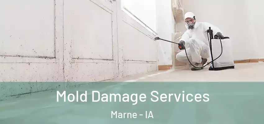 Mold Damage Services Marne - IA