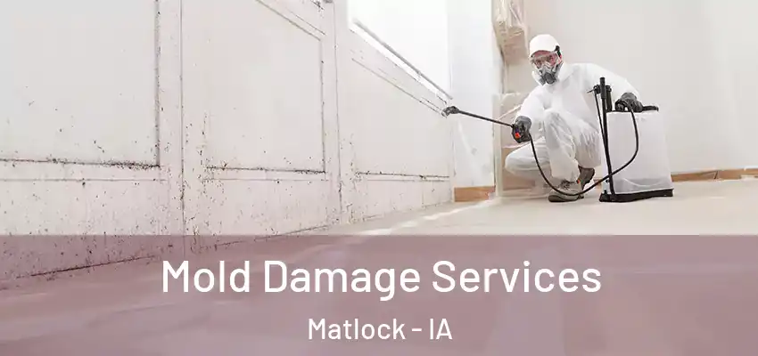 Mold Damage Services Matlock - IA