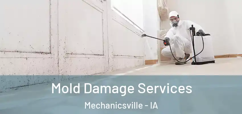  Mold Damage Services Mechanicsville - IA