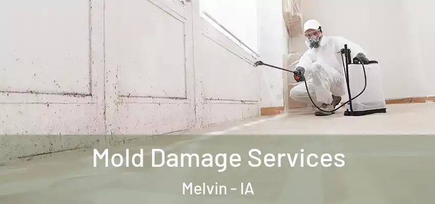  Mold Damage Services Melvin - IA