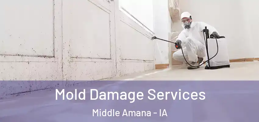 Mold Damage Services Middle Amana - IA