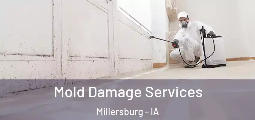Mold Damage Services Millersburg - IA