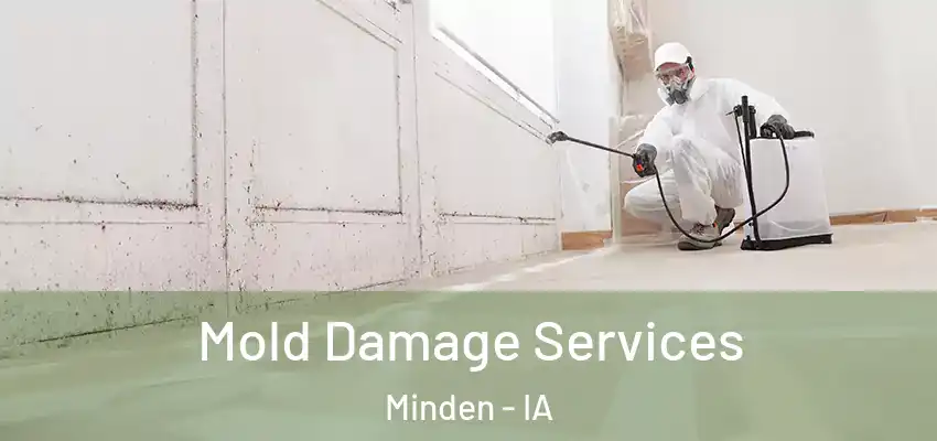 Mold Damage Services Minden - IA