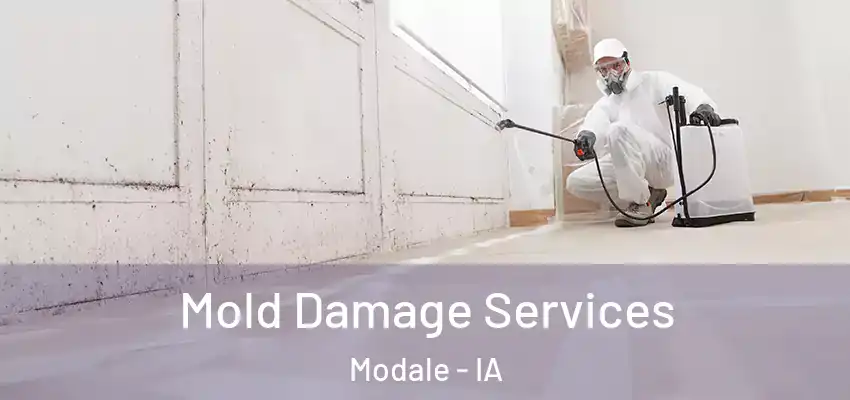 Mold Damage Services Modale - IA