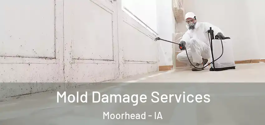  Mold Damage Services Moorhead - IA