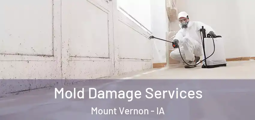 Mold Damage Services Mount Vernon - IA